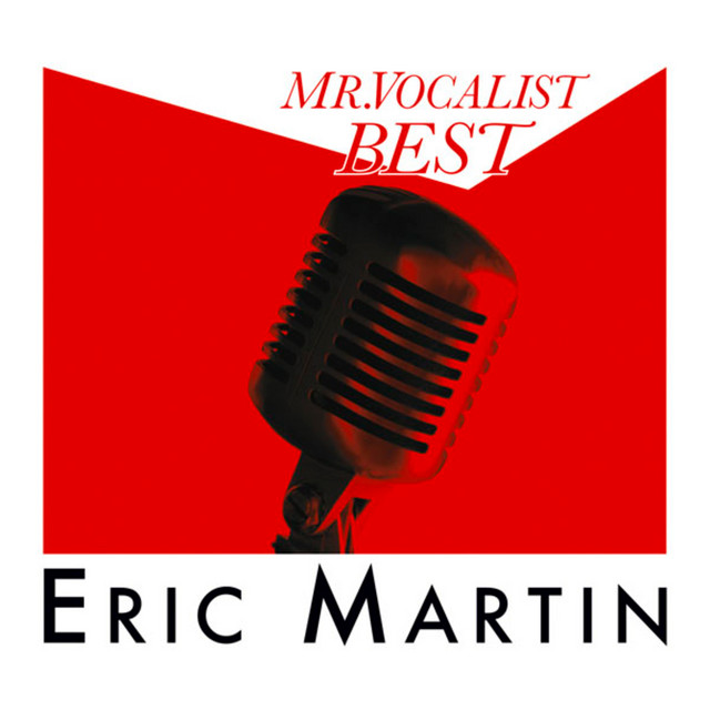 MR.VOCALIST BEST album cover