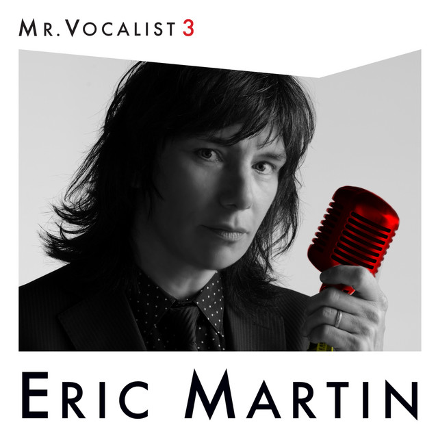 MR. VOCALIST 3 album cover