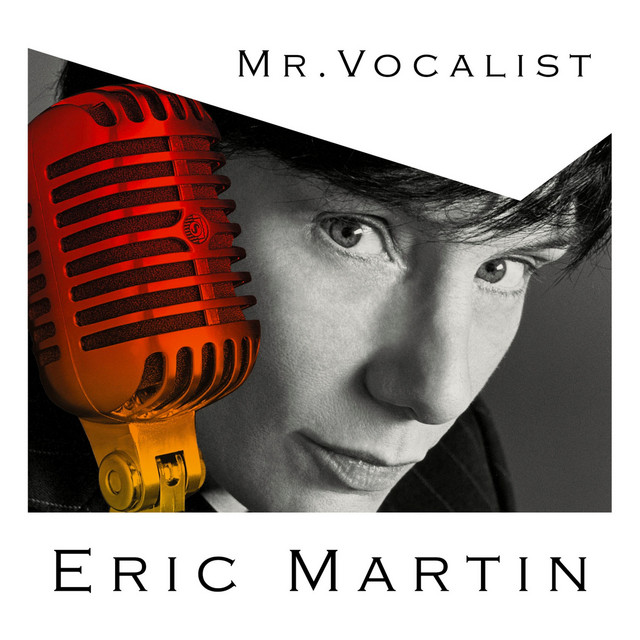MR.VOCALIST album cover