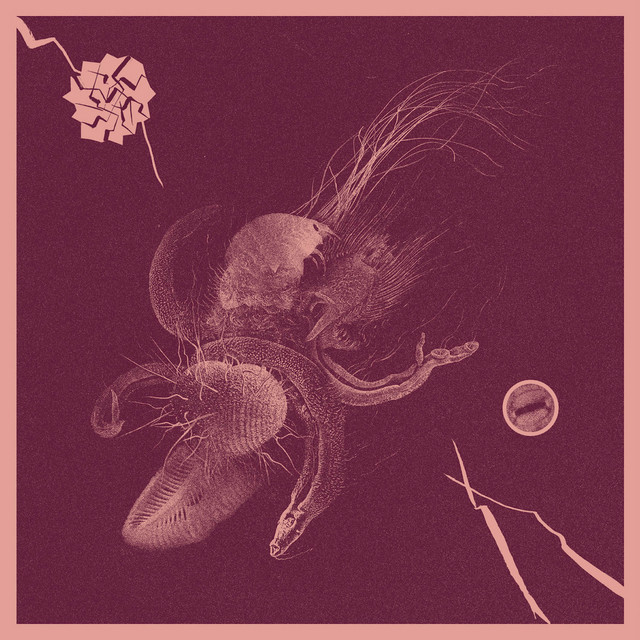 Now That You've Found It album cover