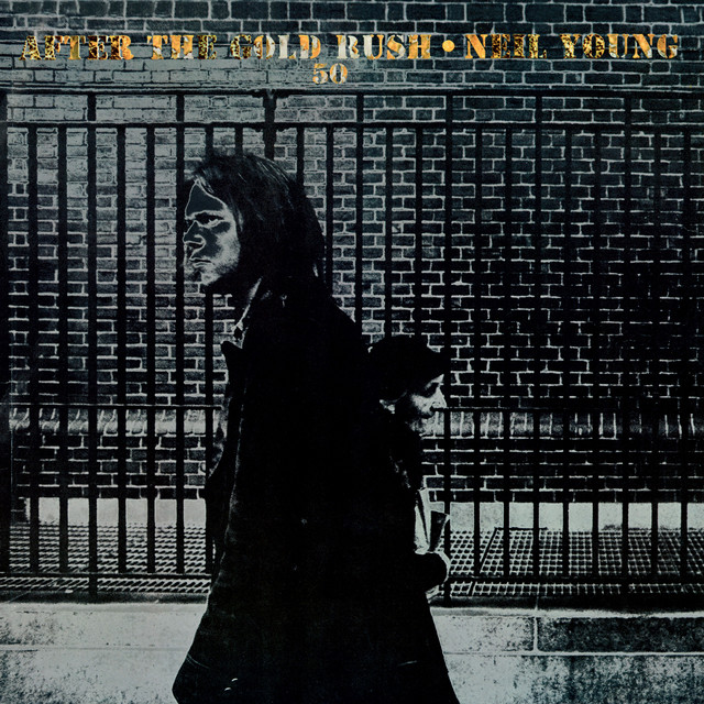 Martin D-35 as heard on After The Gold Rush (50th Anniversary) by Neil Young (2020)