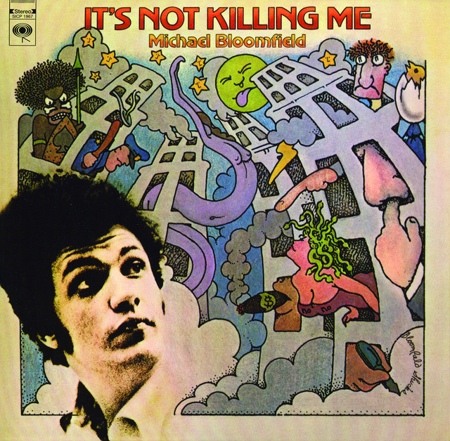 It's Not Killing Me album cover