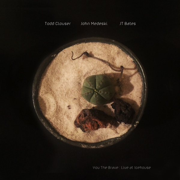 You The Brave : Live at Icehouse album cover