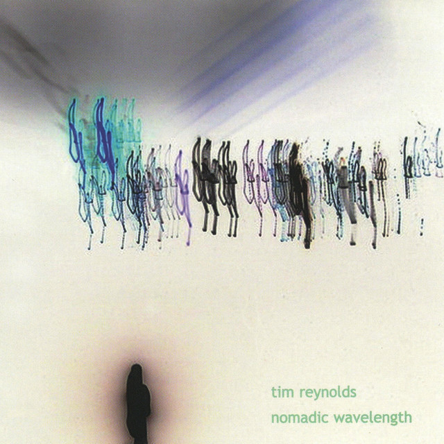 Nomadic Wavelength album cover