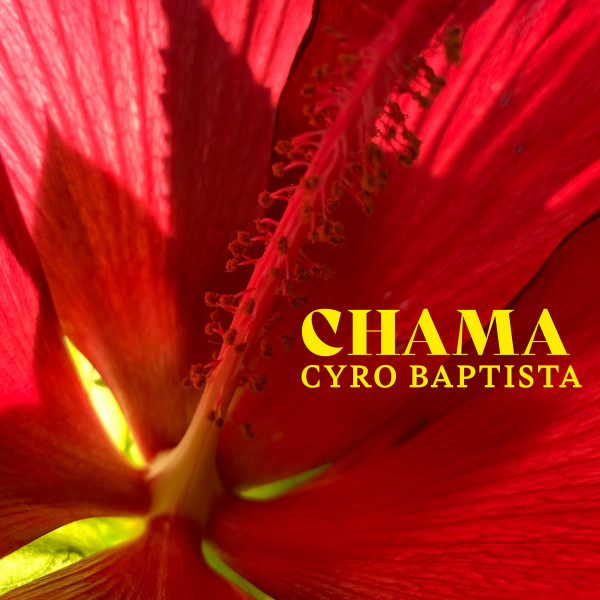 Chama album cover