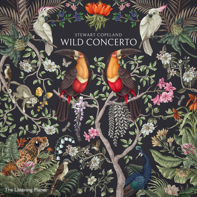 Stewart Copeland: Wild Concerto album cover