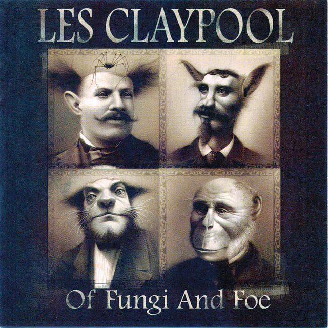 Of Fungi And Foe album cover