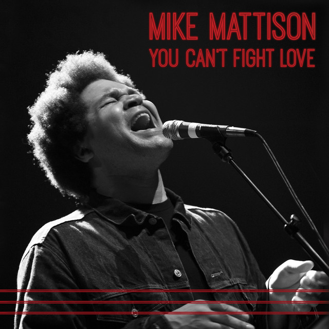 You Can't Fight Love album cover