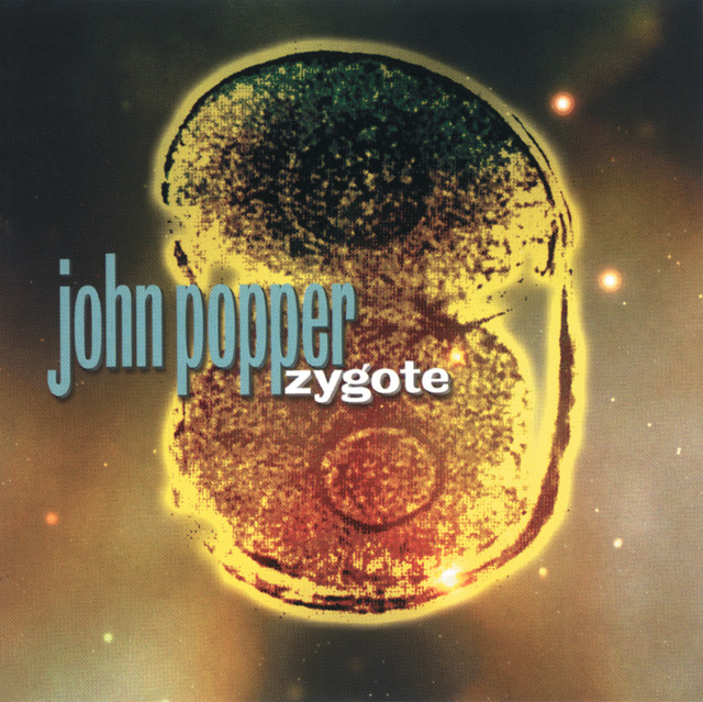 Zygote album cover