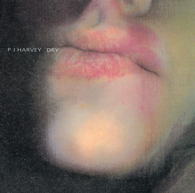 Dry album cover