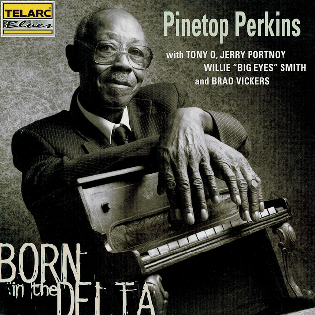 Born In The Delta album cover