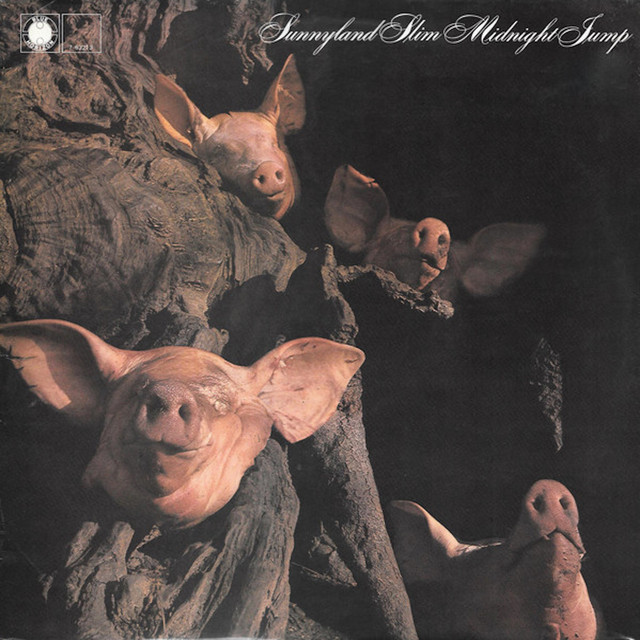 Midnight Jump album cover