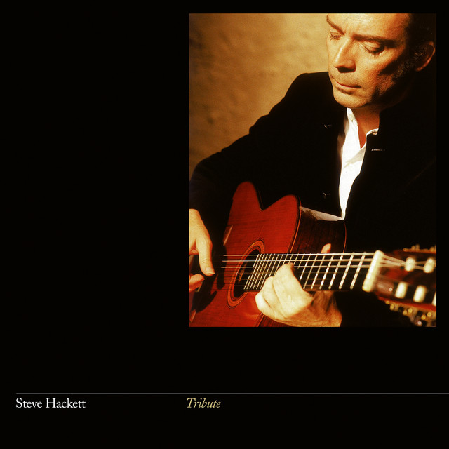 Alvarez Yairi CY116 as heard on Tribute (Remastered 2015) by Steve Hackett (2015)