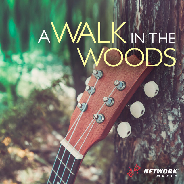 A Walk In The Woods album cover