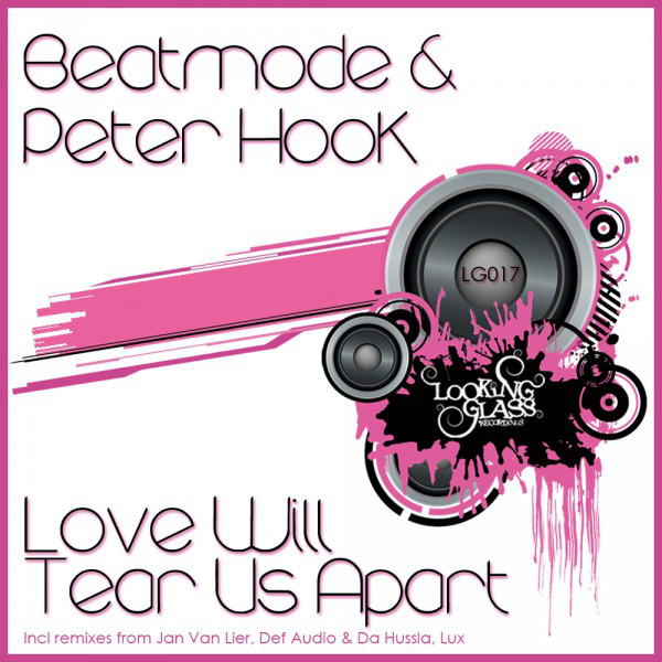 Electro-Harmonix The Clone Theory as heard on Love Will Tear Us Apart by Peter Hook (2012)