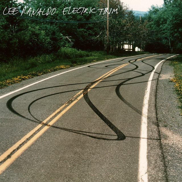 Electric Trim album cover