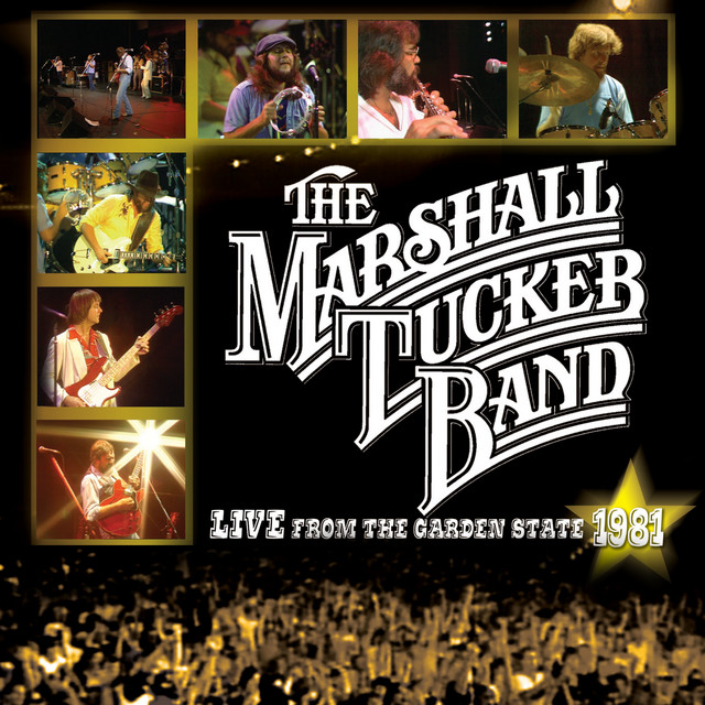 Fender Stratocaster Electric Guitar as heard on Live From The Garden State 1981 by The Marshall Tucker Band (2024)