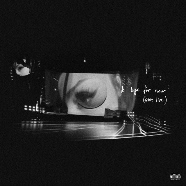 k bye for now (swt live) album cover