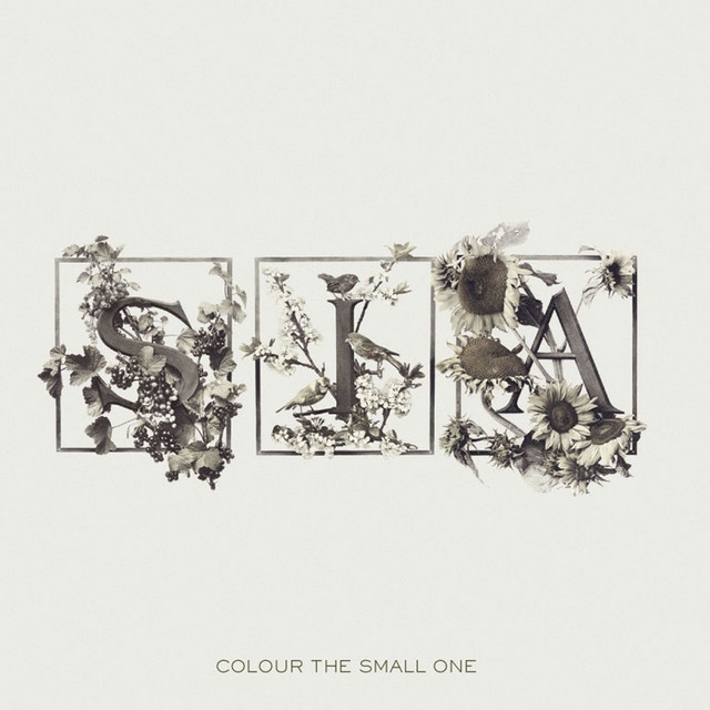 Colour The Small One album cover