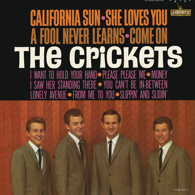 California Sun - She Loves You album cover