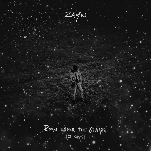 ROOM UNDER THE STAIRS (Z SIDES) album cover