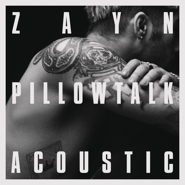 sE Electronics Reflexion Filter Pro as heard on PILLOWTALK (the living room session) by Zayn Malik & Zayn (2016)