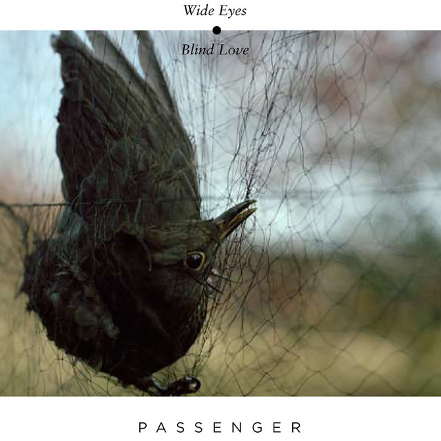 Wide Eyes Blind Love album cover