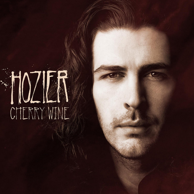 the t.bone SC 1100 as heard on Cherry Wine (Live in Greystones, County Wicklow - Spring 2014) by Hozier (2013)