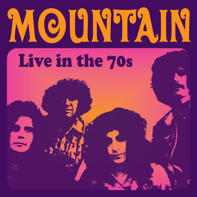 Live in the 70s album cover