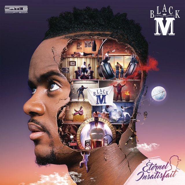 Éternel insatisfait album cover