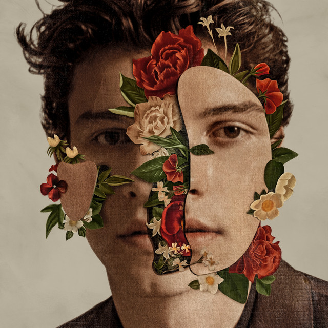 Shawn Mendes album cover