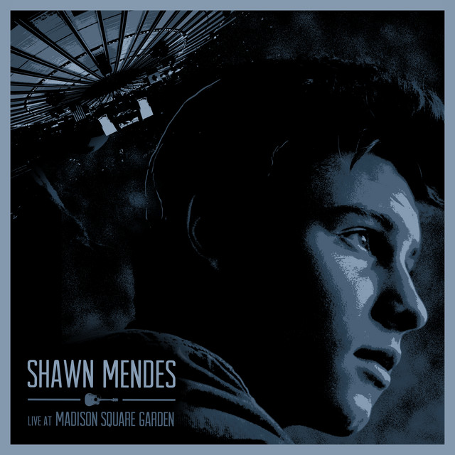 Live At Madison Square Garden album cover