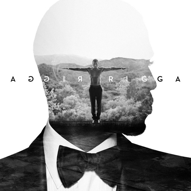 Trigga album cover