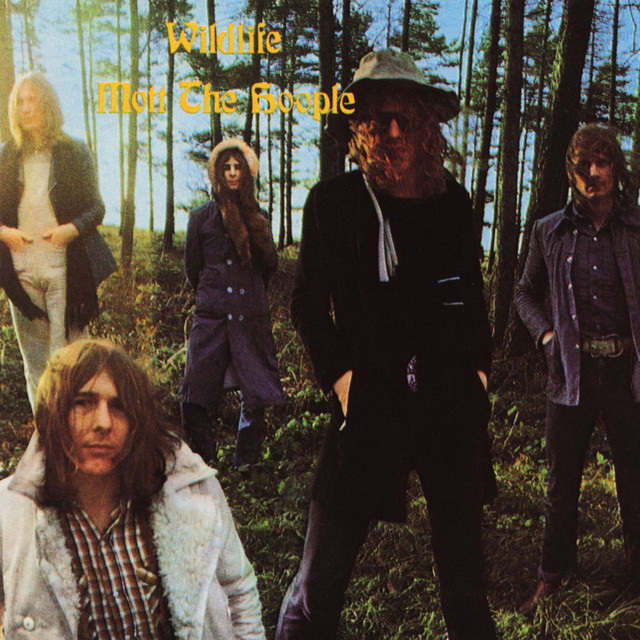 Wildlife (US Release) album cover