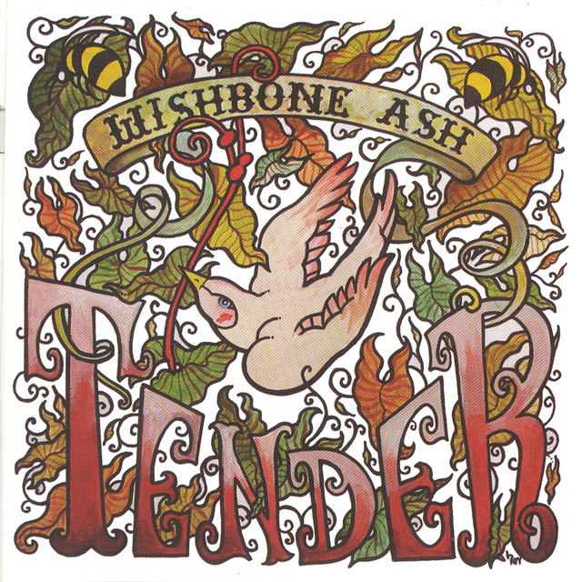 Tender album cover