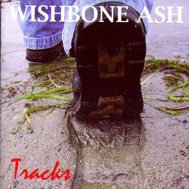 Tracks album cover
