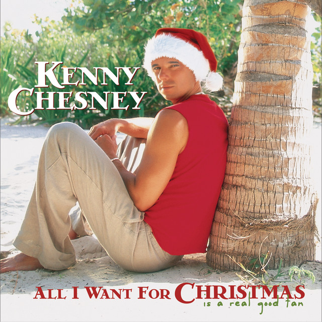 All I Want For Christmas Is A Real Good Tan album cover