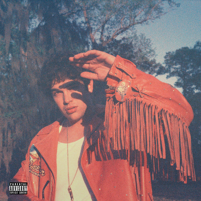 A Lone Star Story album cover