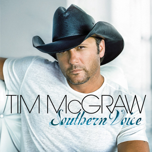 Southern Voice album cover