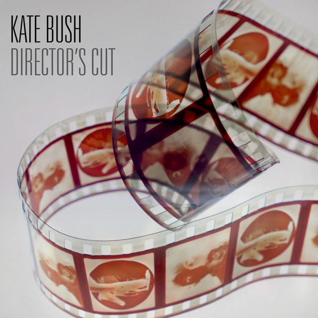 Director's Cut (2018 Remaster) album cover