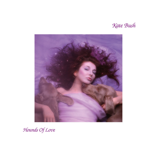 Hounds of Love (2018 Remaster) album cover