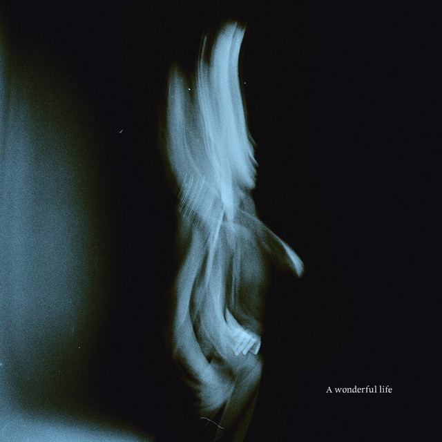 A Wonderful Life album cover