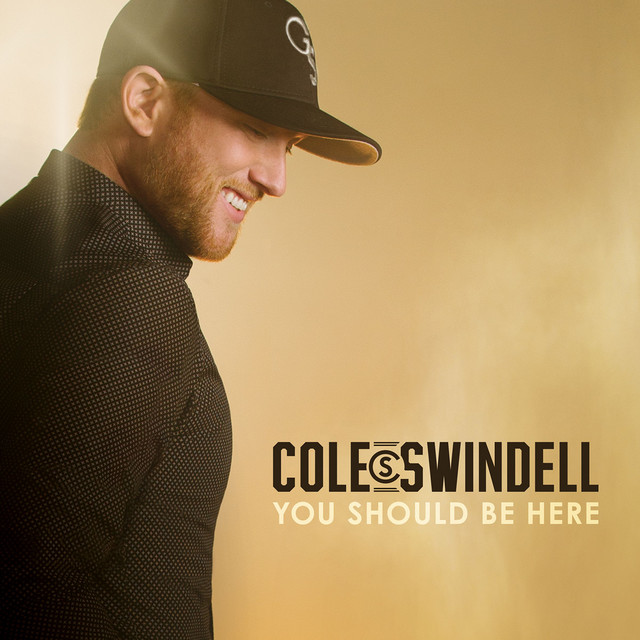 You Should Be Here album cover