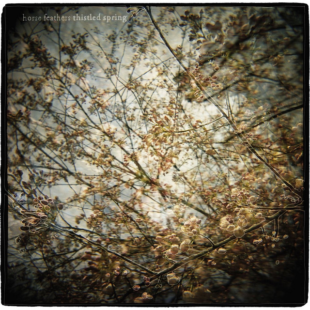 Thistled Spring album cover