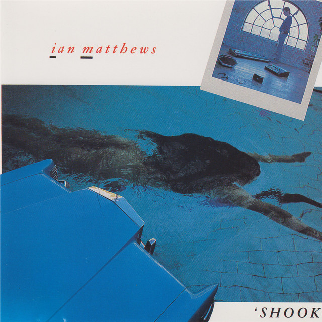 Shook album cover