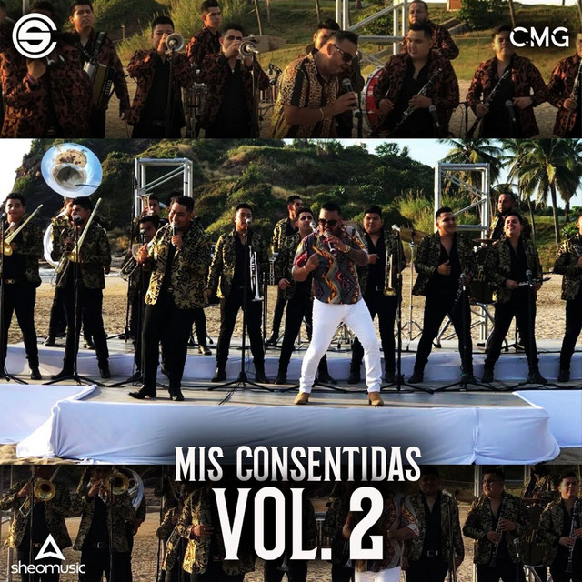 Misconsentidas Vol 2 album cover