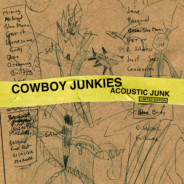Acoustic Junk (Limited Edition) album cover