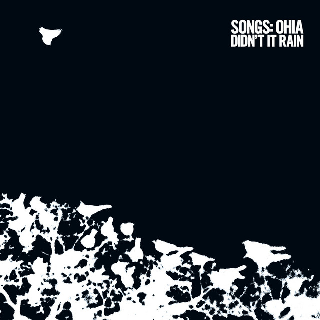 Didn't It Rain (Deluxe Edition) album cover