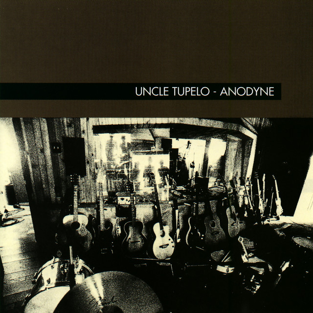 Anodyne album cover