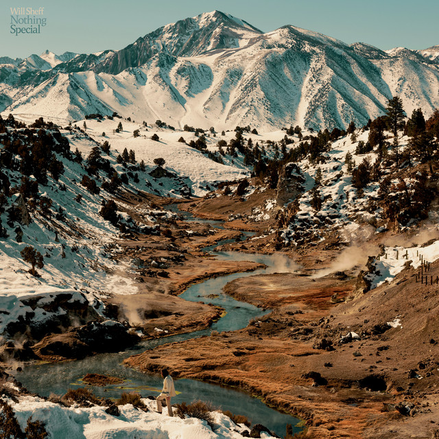 Nothing Special album cover